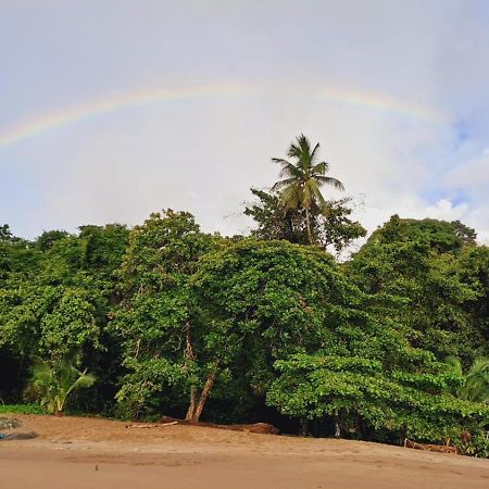 Vista Alta Ecolodge Bahia Drake Drake Bay Luaran gambar
