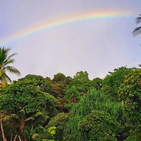 Vista Alta Ecolodge Bahia Drake Drake Bay Luaran gambar