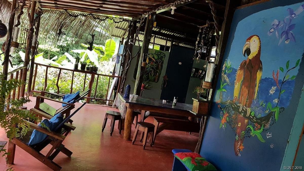 Vista Alta Ecolodge Bahia Drake Drake Bay Luaran gambar