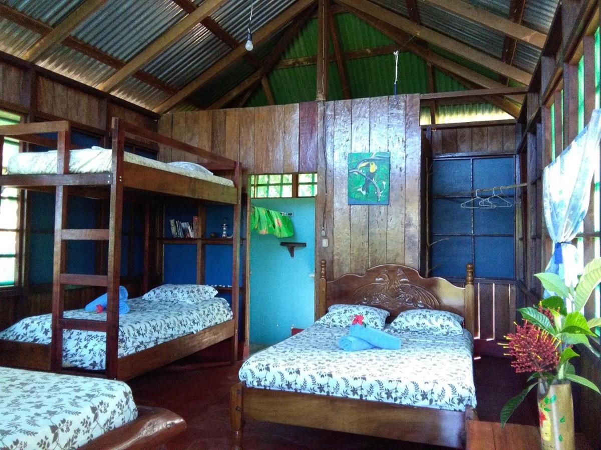 Vista Alta Ecolodge Bahia Drake Drake Bay Luaran gambar