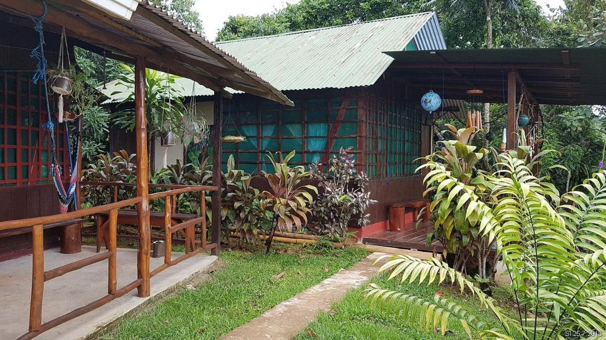 Vista Alta Ecolodge Bahia Drake Drake Bay Luaran gambar