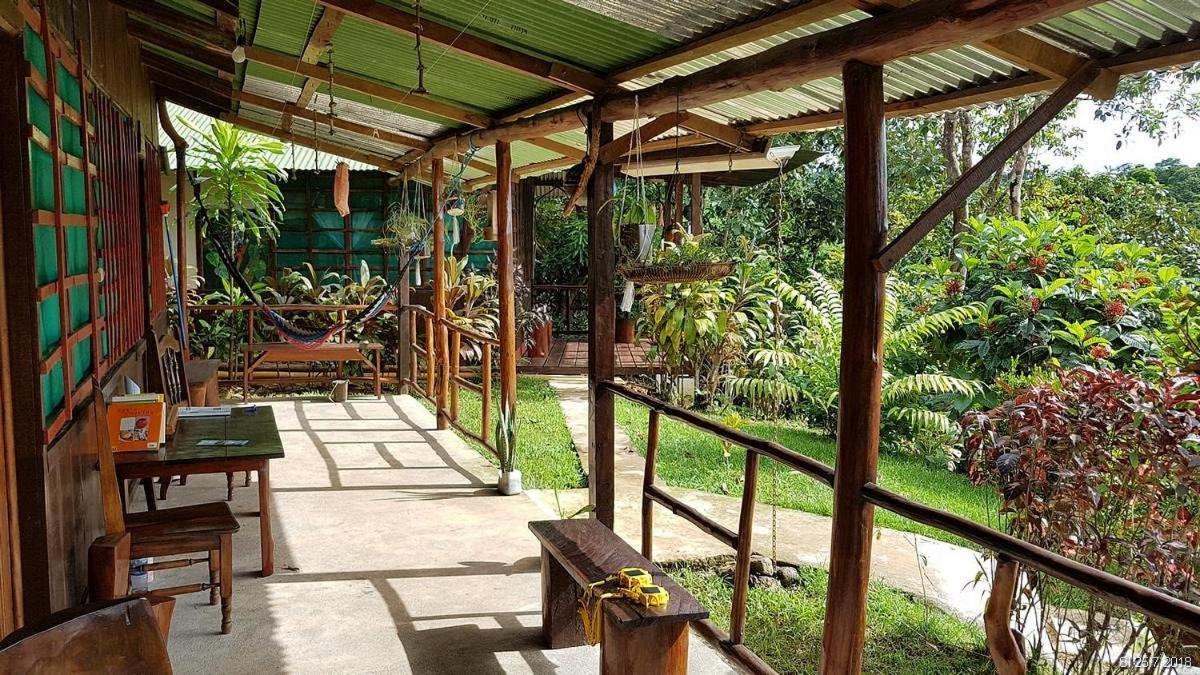 Vista Alta Ecolodge Bahia Drake Drake Bay Luaran gambar