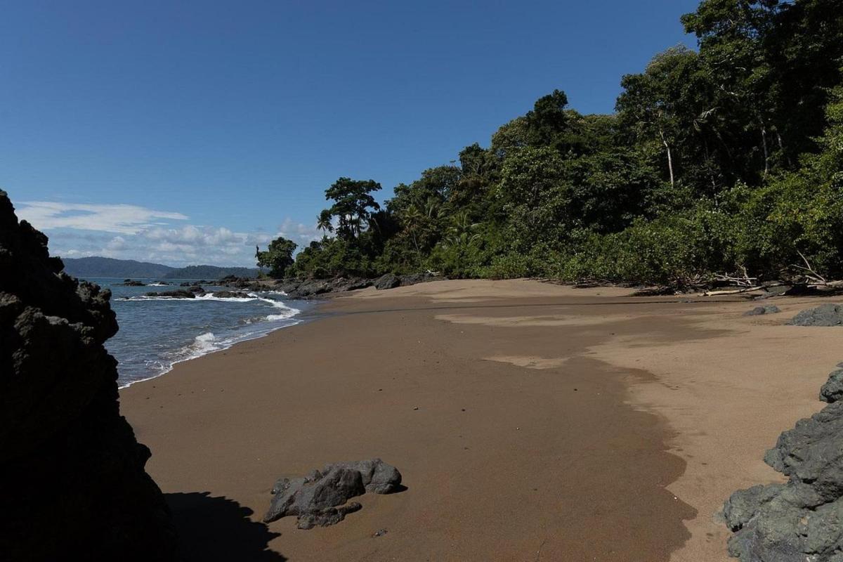 Vista Alta Ecolodge Bahia Drake Drake Bay Luaran gambar