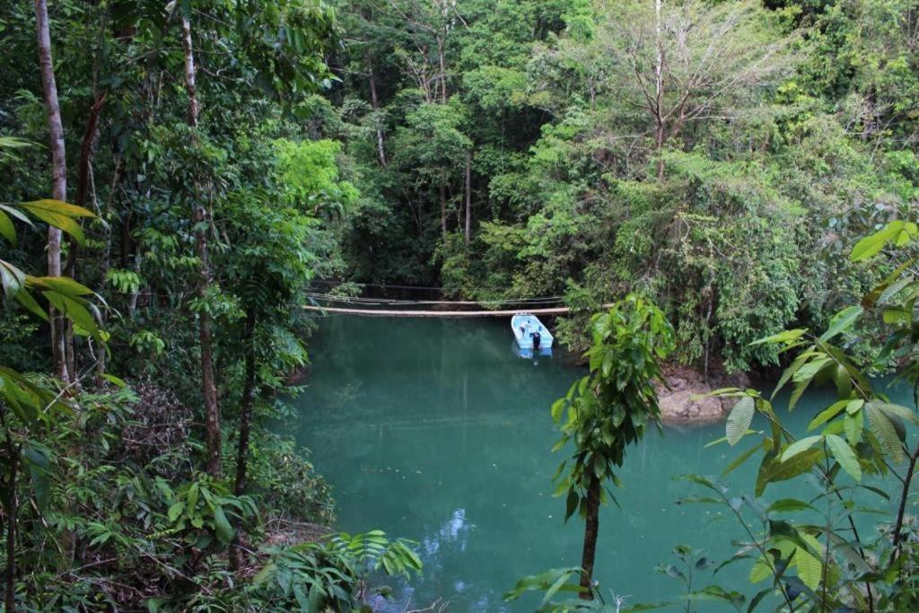 Vista Alta Ecolodge Bahia Drake Drake Bay Luaran gambar