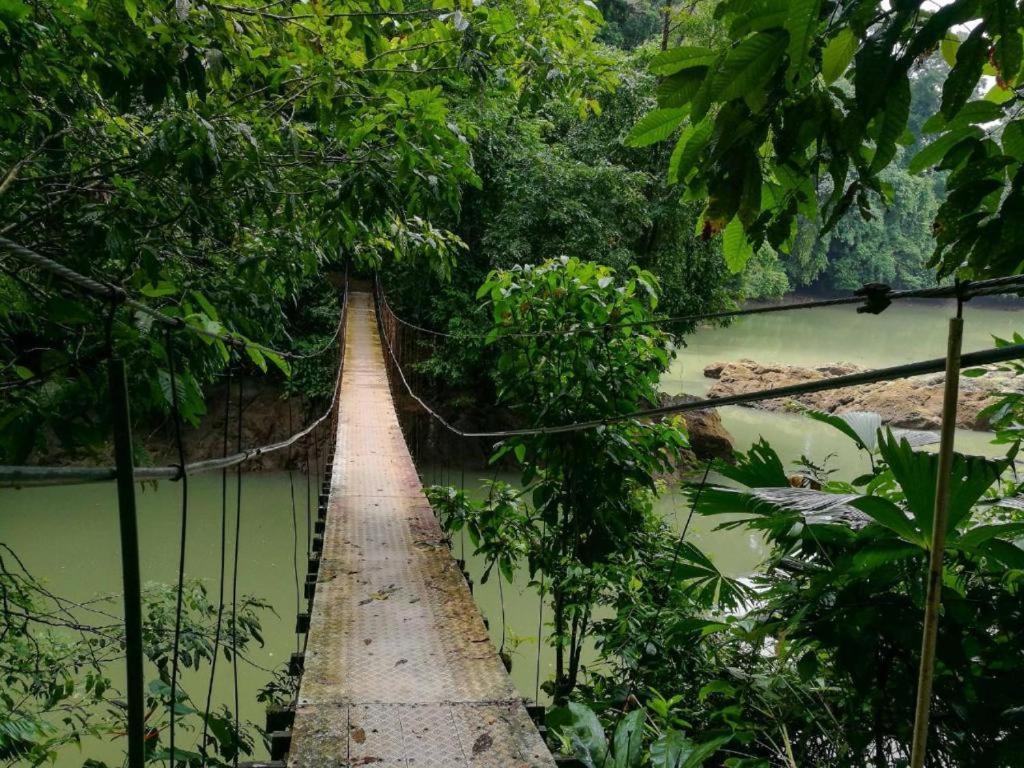 Vista Alta Ecolodge Bahia Drake Drake Bay Luaran gambar