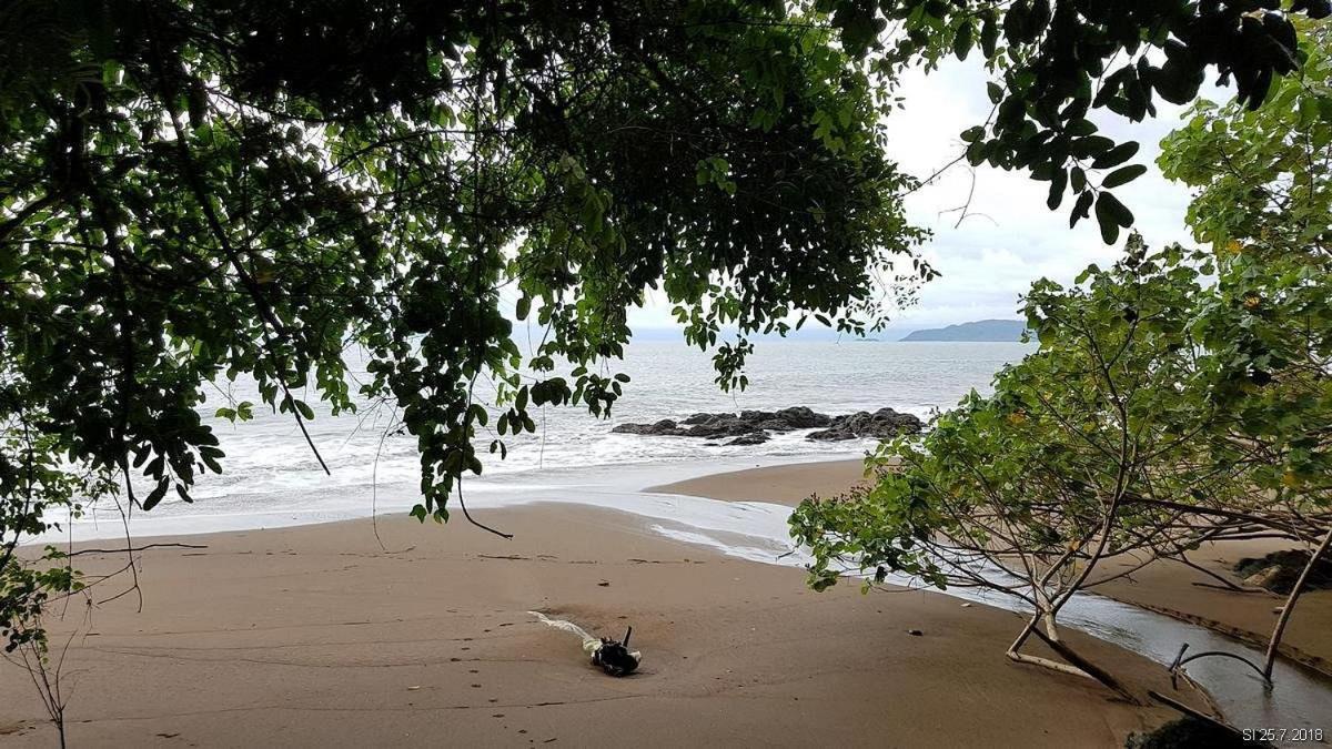 Vista Alta Ecolodge Bahia Drake Drake Bay Luaran gambar