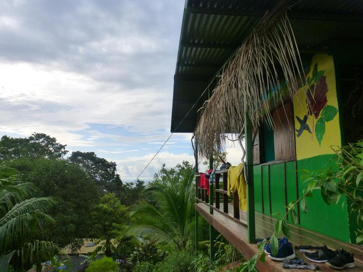 Vista Alta Ecolodge Bahia Drake Drake Bay Luaran gambar