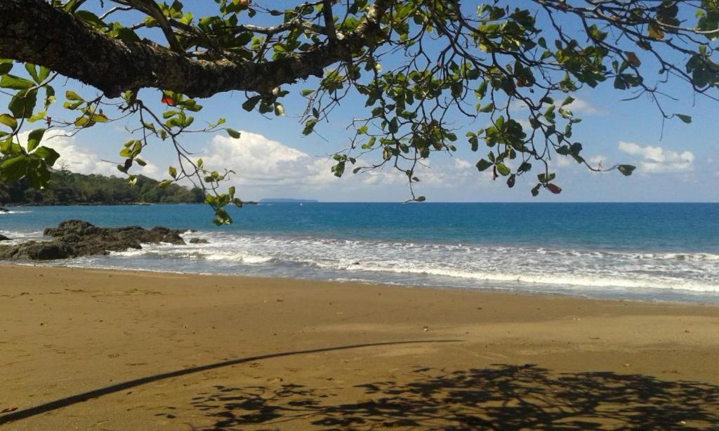 Vista Alta Ecolodge Bahia Drake Drake Bay Luaran gambar