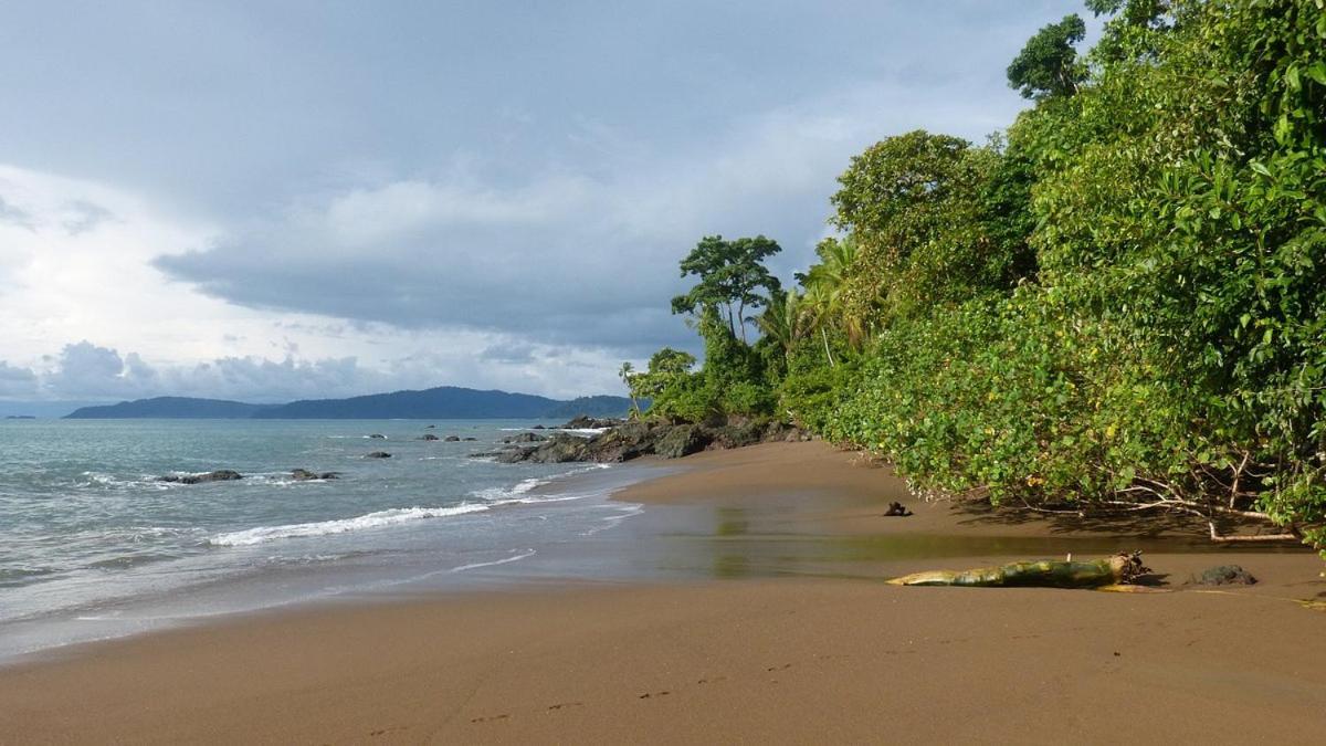 Vista Alta Ecolodge Bahia Drake Drake Bay Luaran gambar