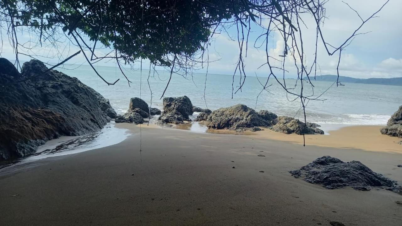 Vista Alta Ecolodge Bahia Drake Drake Bay Luaran gambar