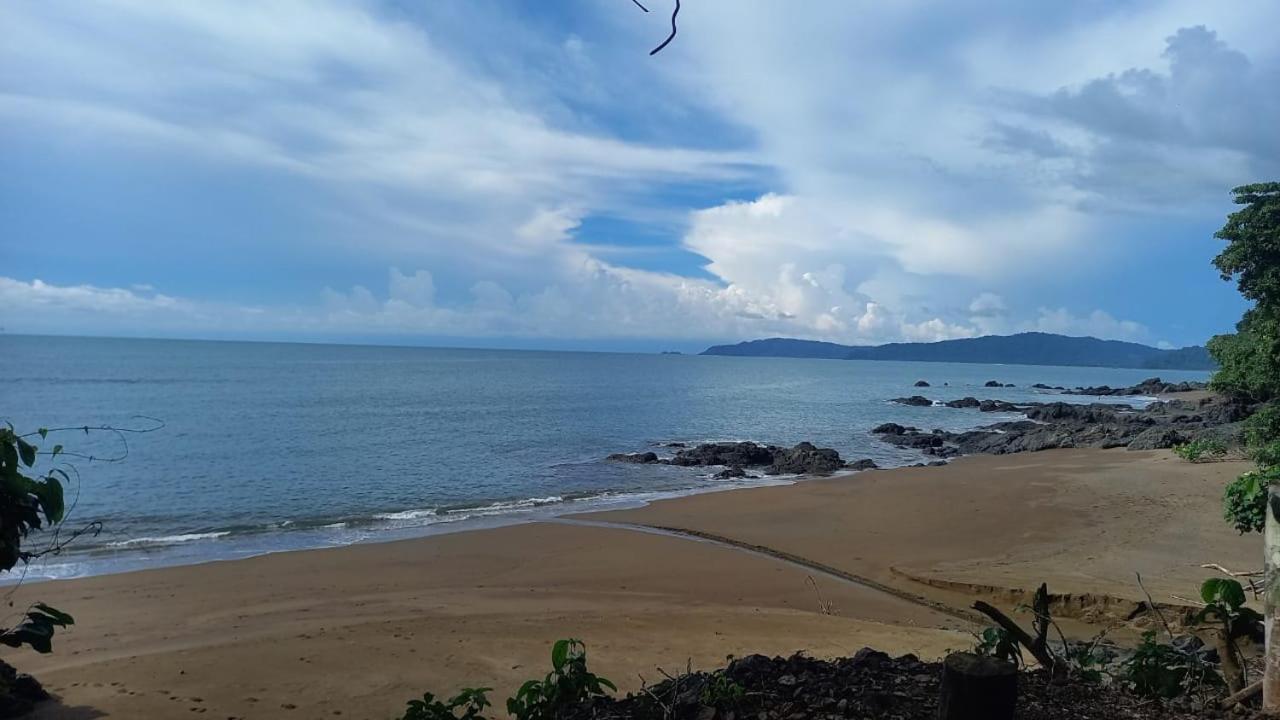 Vista Alta Ecolodge Bahia Drake Drake Bay Luaran gambar