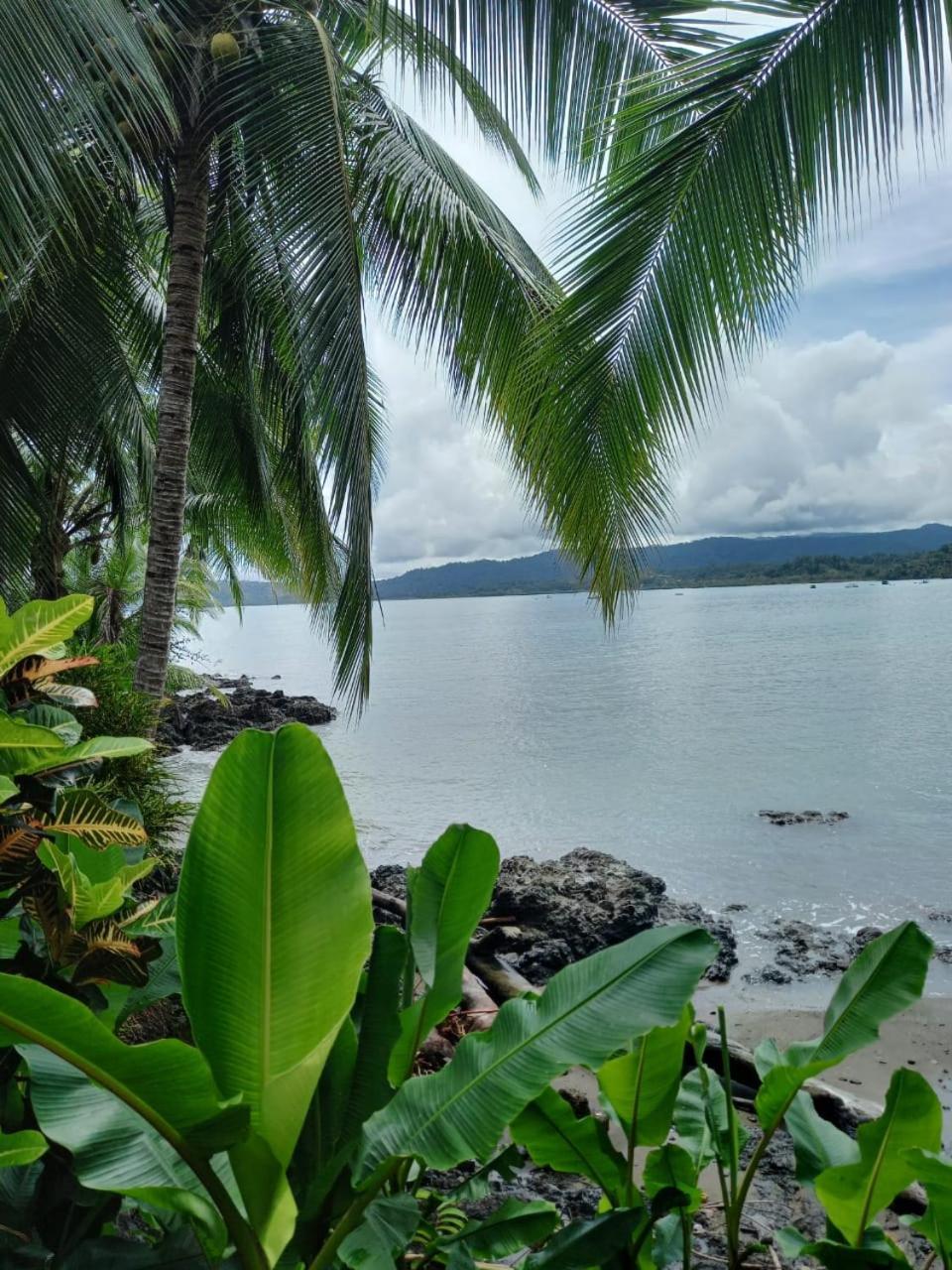 Vista Alta Ecolodge Bahia Drake Drake Bay Luaran gambar