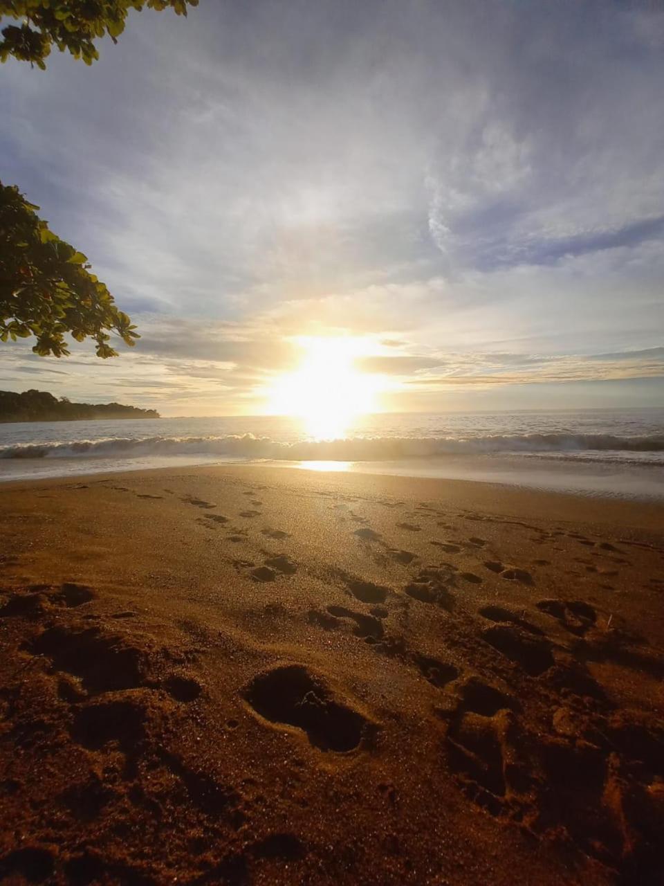 Vista Alta Ecolodge Bahia Drake Drake Bay Luaran gambar
