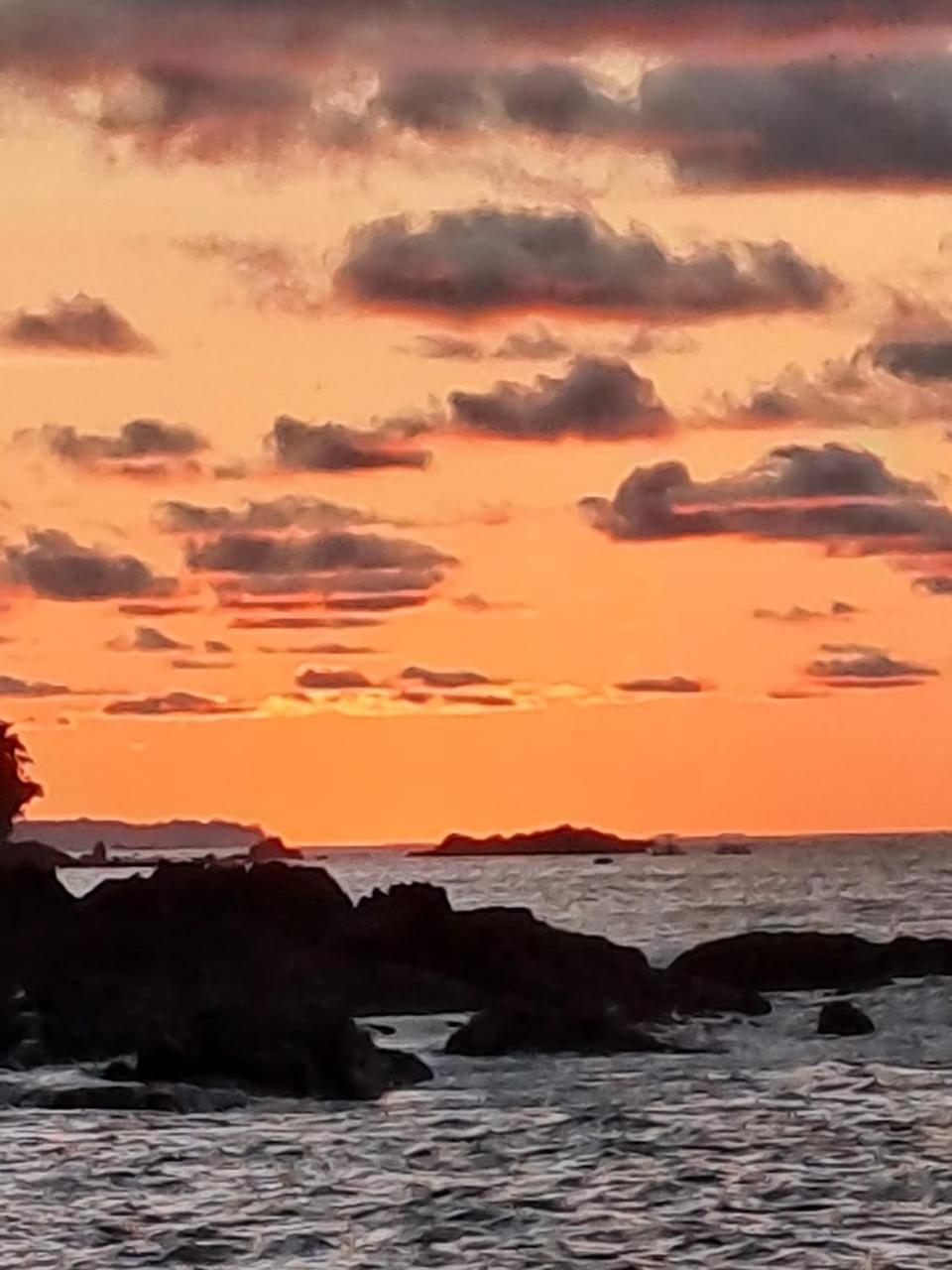 Vista Alta Ecolodge Bahia Drake Drake Bay Luaran gambar