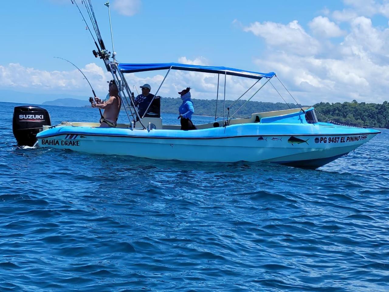 Vista Alta Ecolodge Bahia Drake Drake Bay Luaran gambar