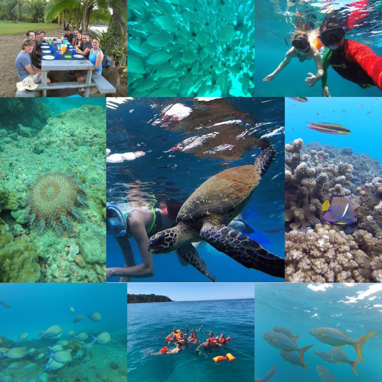 Vista Alta Ecolodge Bahia Drake Drake Bay Luaran gambar