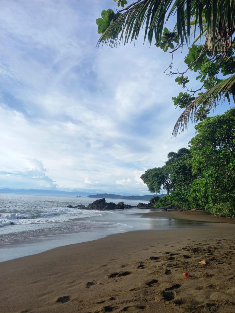 Vista Alta Ecolodge Bahia Drake Drake Bay Luaran gambar