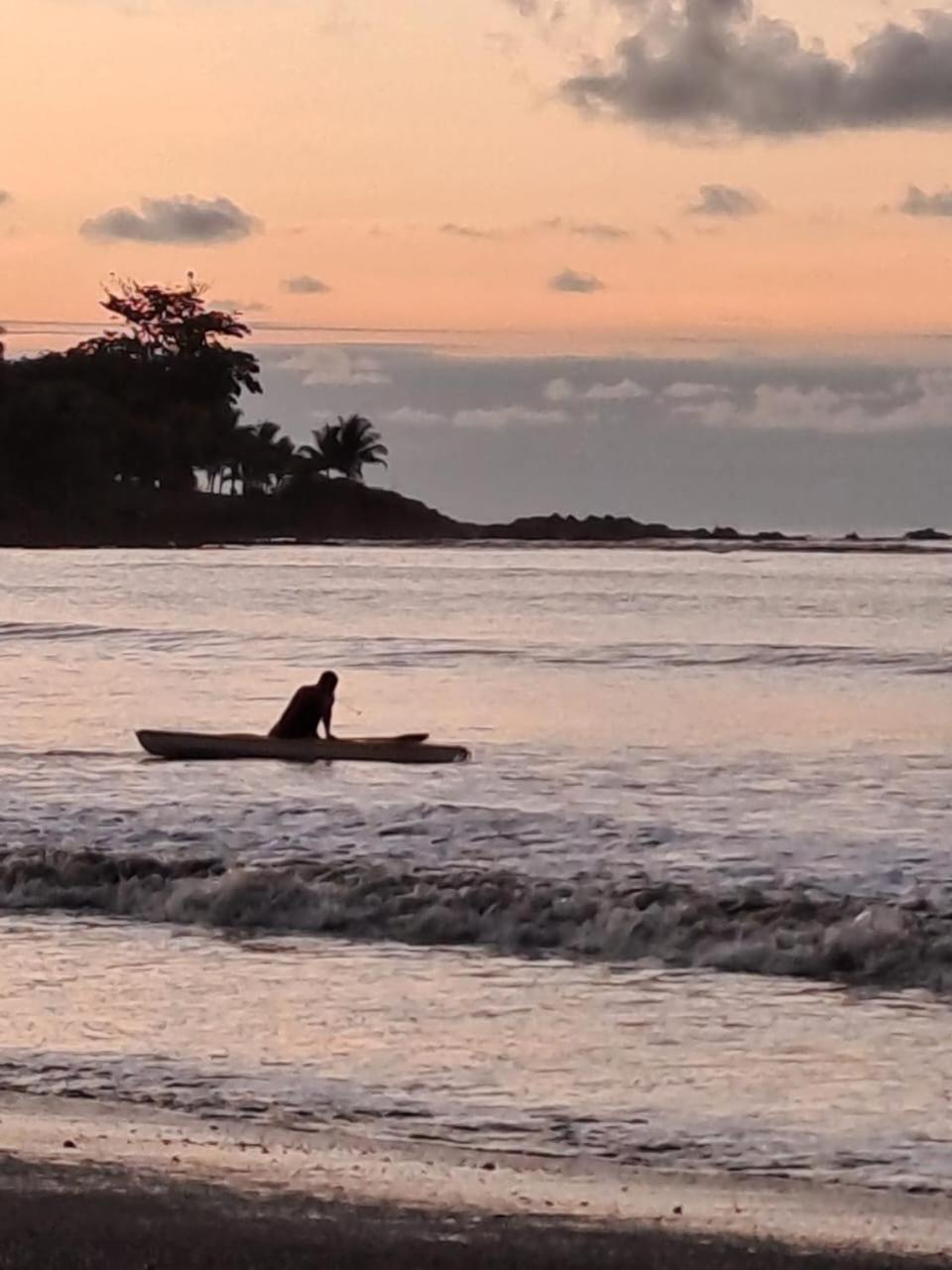 Vista Alta Ecolodge Bahia Drake Drake Bay Luaran gambar