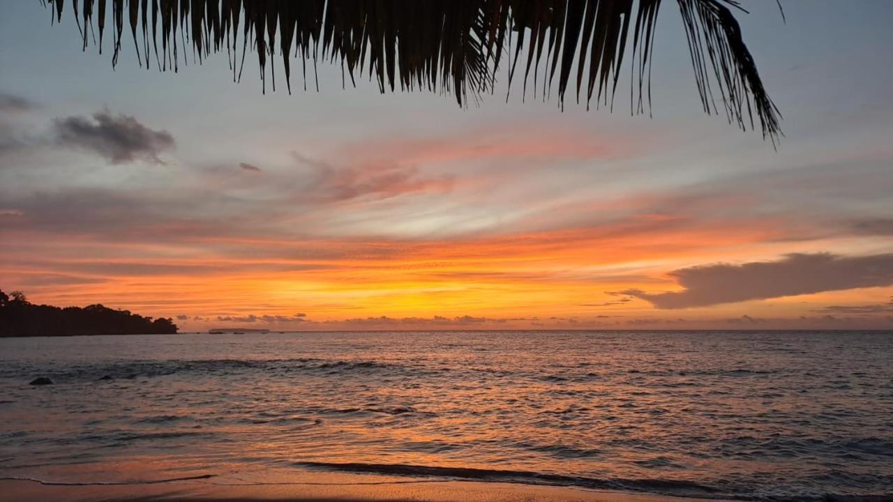 Vista Alta Ecolodge Bahia Drake Drake Bay Luaran gambar