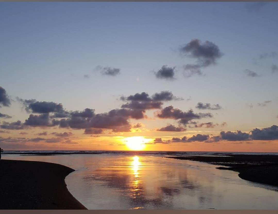 Vista Alta Ecolodge Bahia Drake Drake Bay Luaran gambar