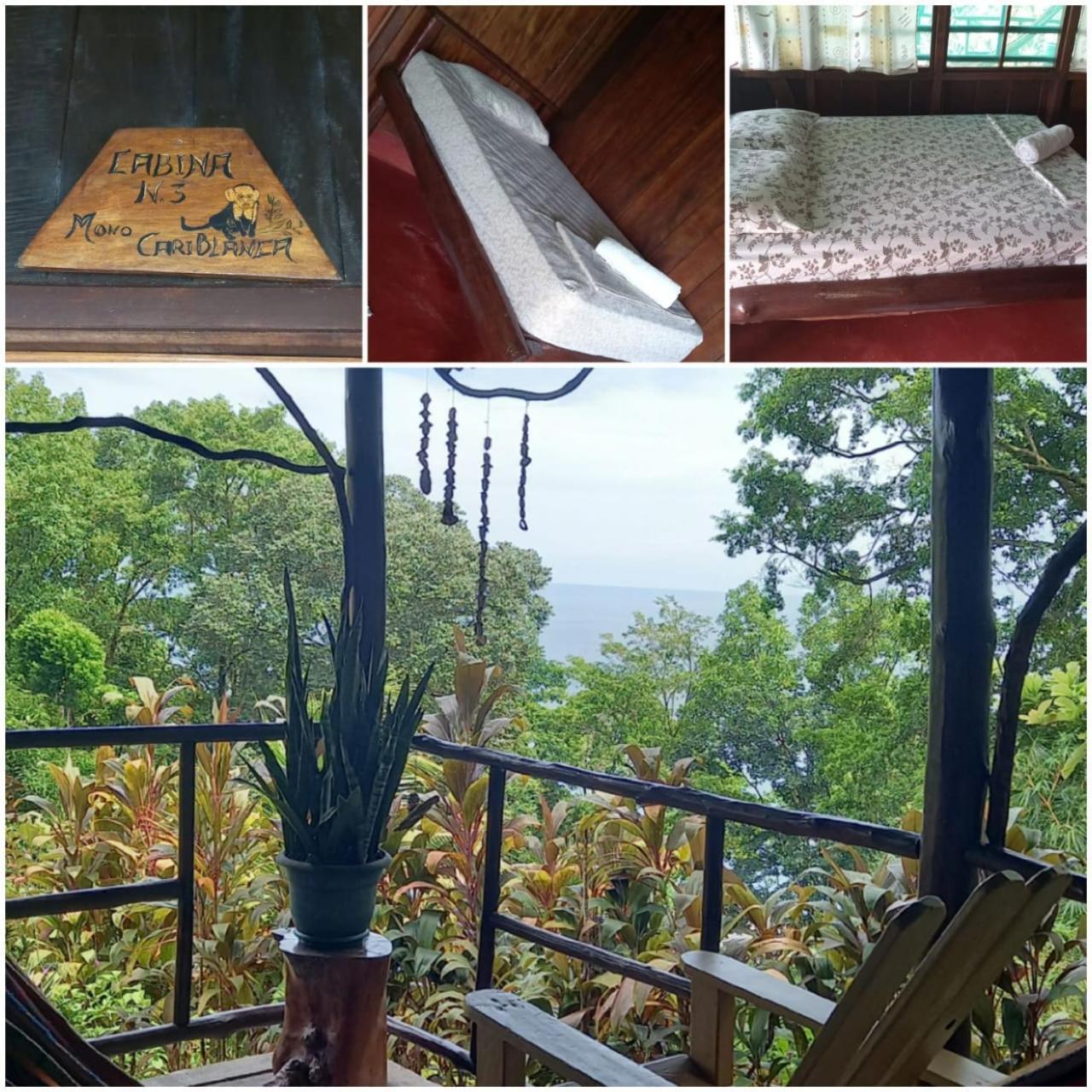 Vista Alta Ecolodge Bahia Drake Drake Bay Luaran gambar