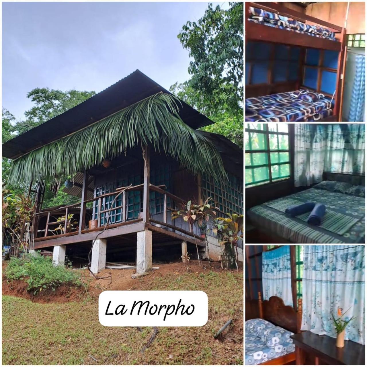 Vista Alta Ecolodge Bahia Drake Drake Bay Luaran gambar