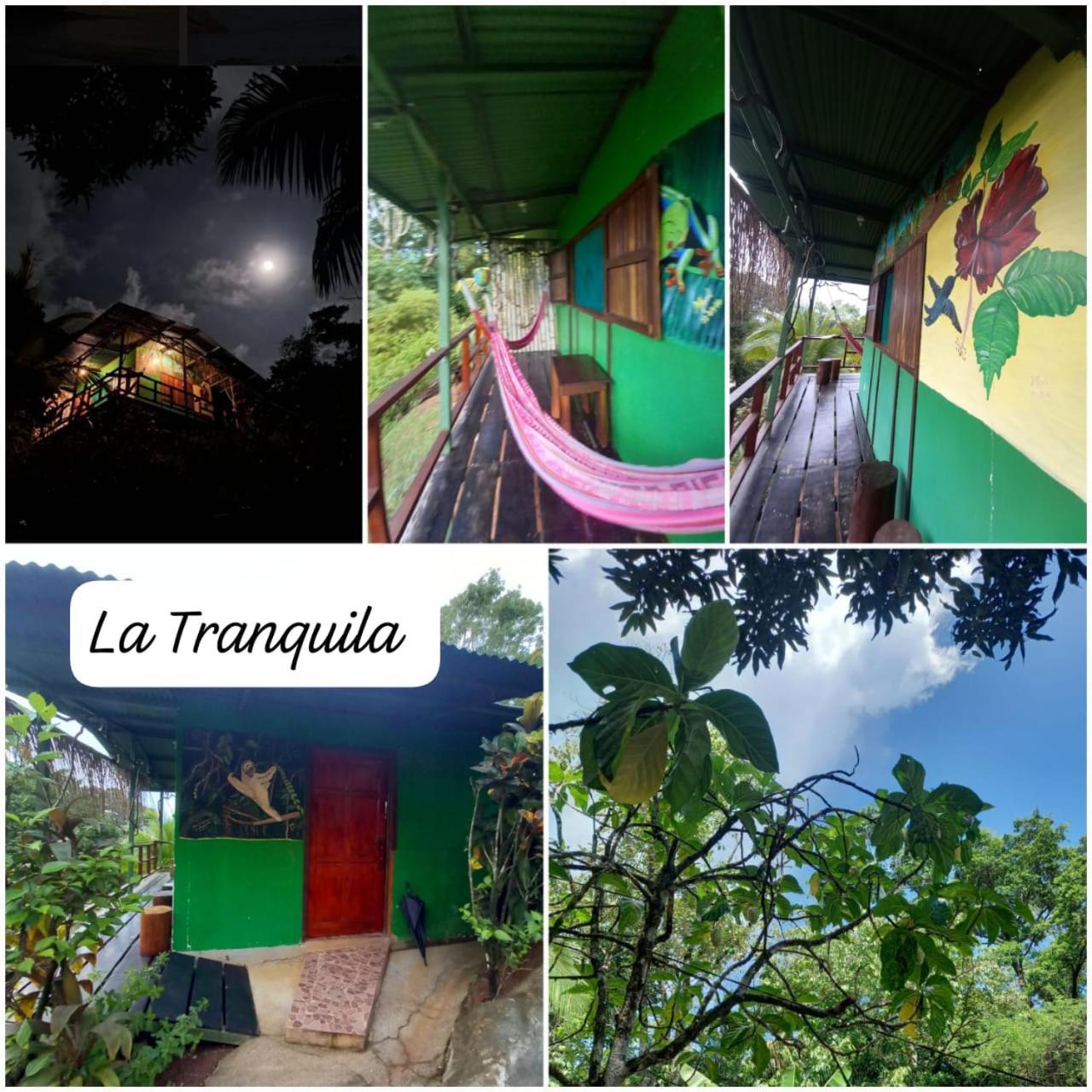 Vista Alta Ecolodge Bahia Drake Drake Bay Luaran gambar