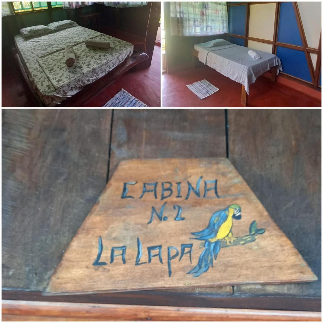 Vista Alta Ecolodge Bahia Drake Drake Bay Luaran gambar