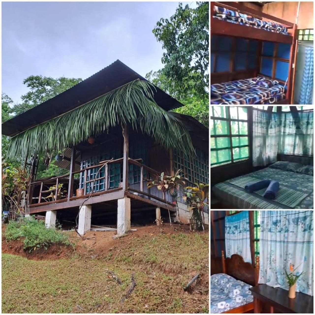 Vista Alta Ecolodge Bahia Drake Drake Bay Luaran gambar