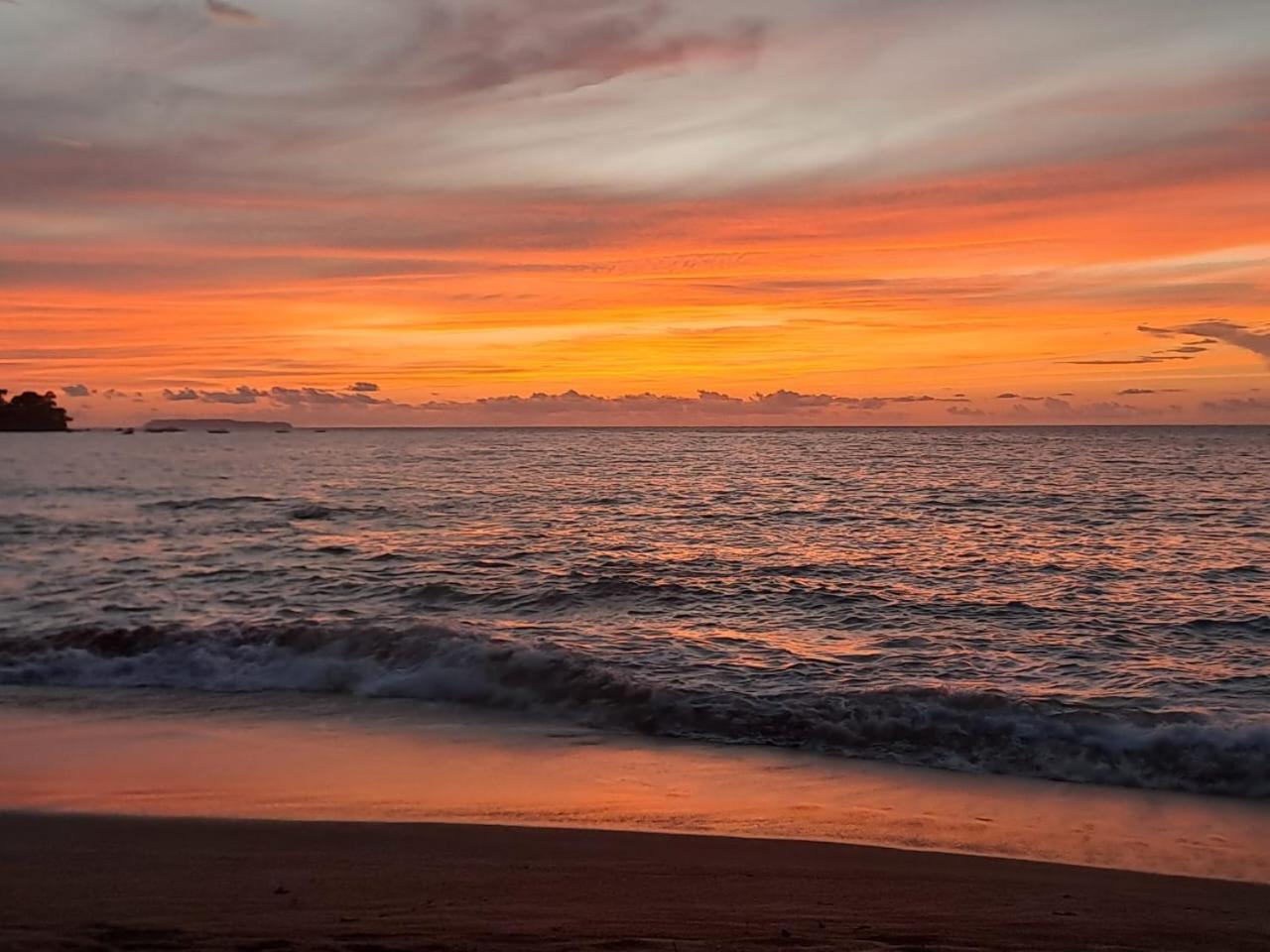 Vista Alta Ecolodge Bahia Drake Drake Bay Luaran gambar