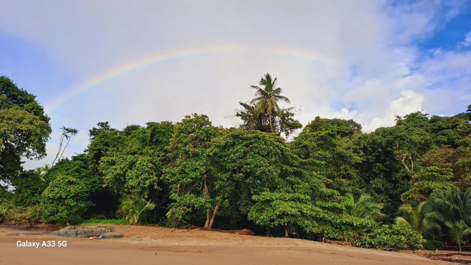 Vista Alta Ecolodge Bahia Drake Drake Bay Luaran gambar