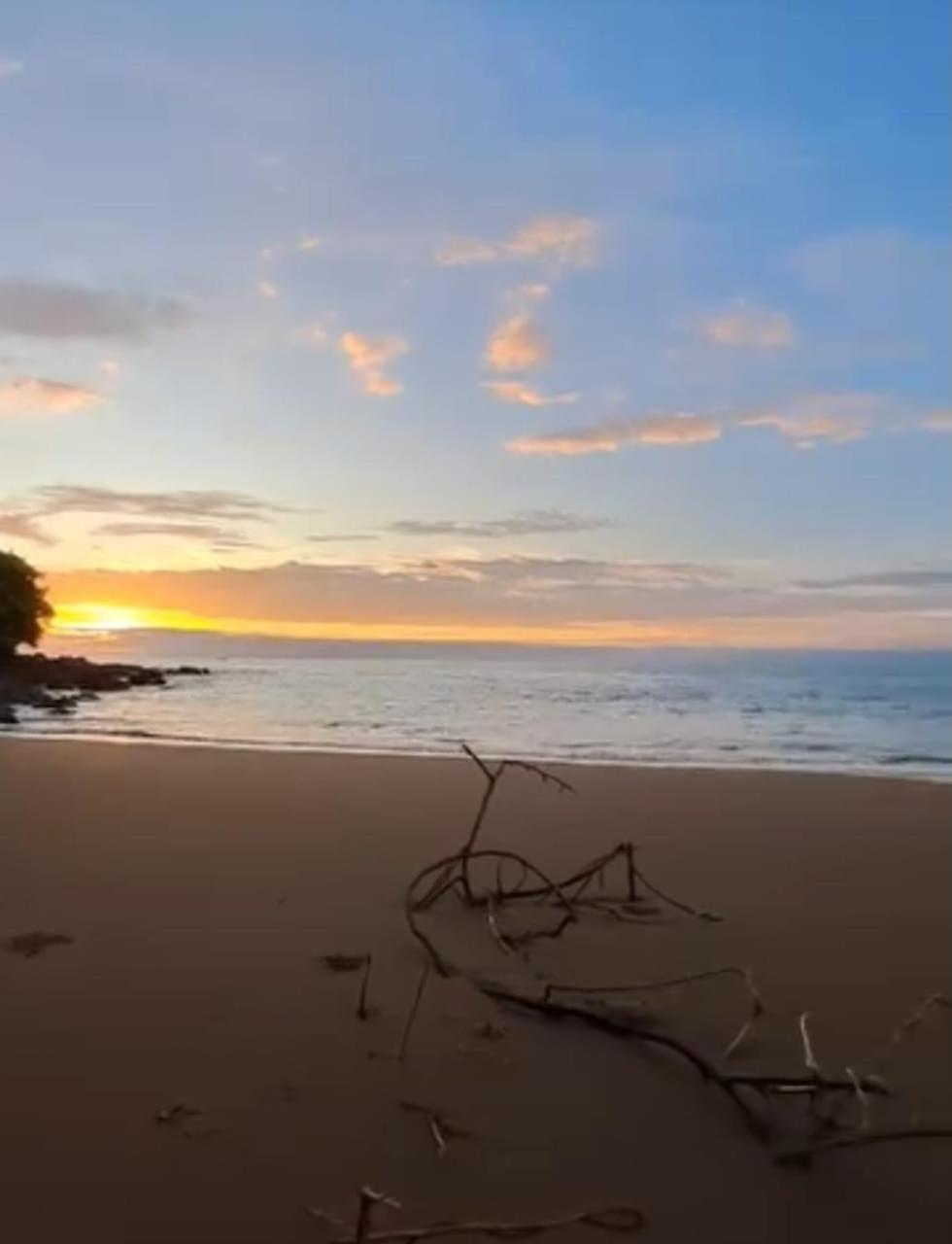 Vista Alta Ecolodge Bahia Drake Drake Bay Luaran gambar