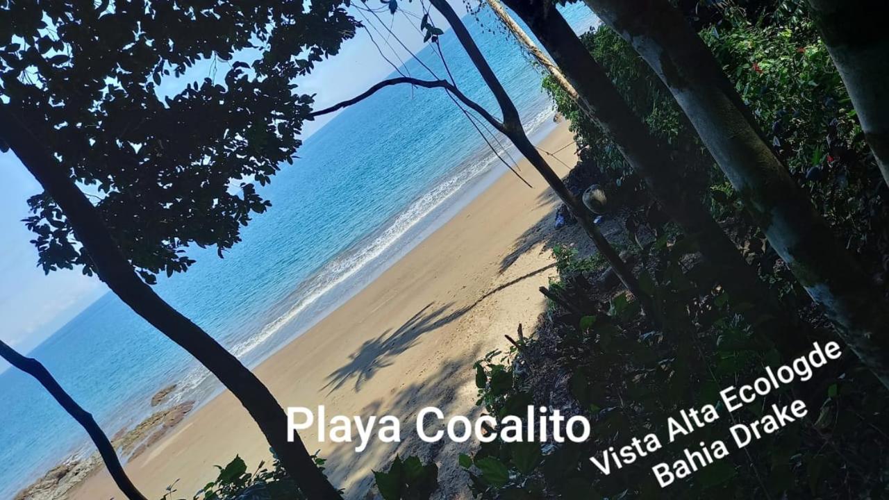 Vista Alta Ecolodge Bahia Drake Drake Bay Luaran gambar