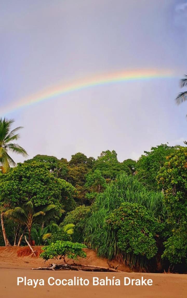 Vista Alta Ecolodge Bahia Drake Drake Bay Luaran gambar